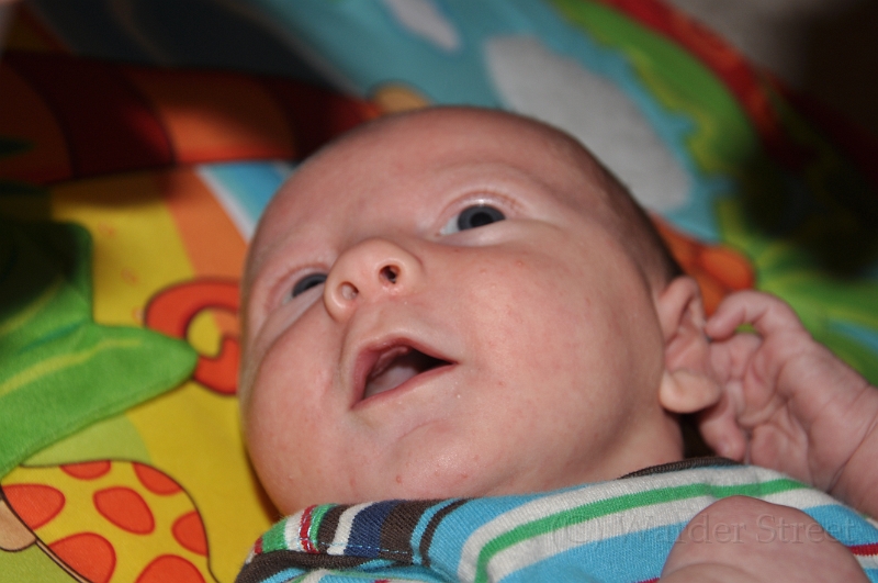 William's Fifth Week 11.jpg